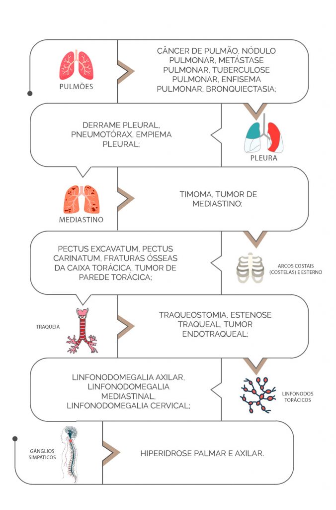 infografico - o que faz um cirurgiao toracico - dra Niura Hamilton